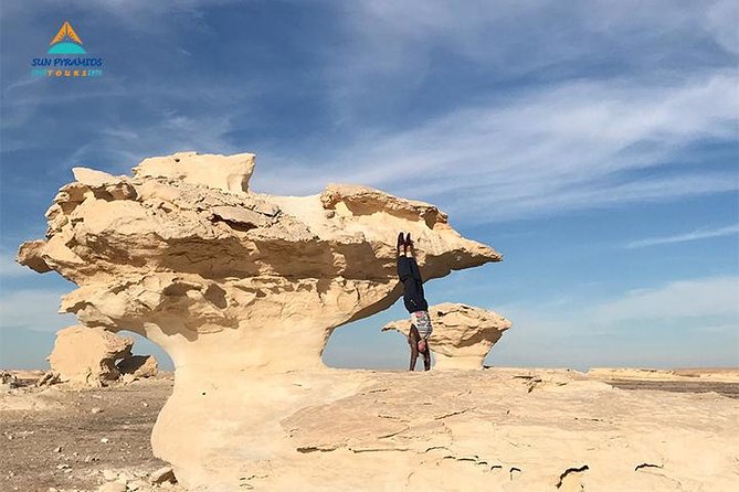 Package 15 Days 14 Nights to Pyramids, Luxur , Aswan & Oasis - Meals and Dining Options