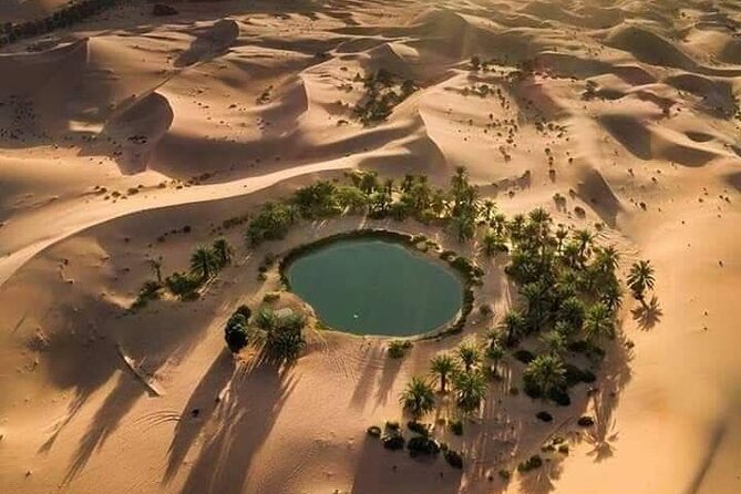 Package 5 Days 4 Nights to Gara Cave Desert Tour - Pickup Information