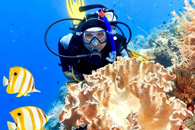 PADI Advanced Open Water Diving Course & Certificate - Hurghada - Certification Details