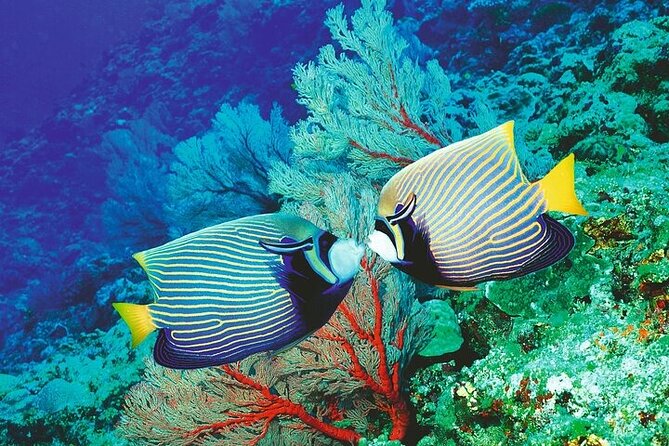 Palma Acquarium With Transfer - Pickup Details