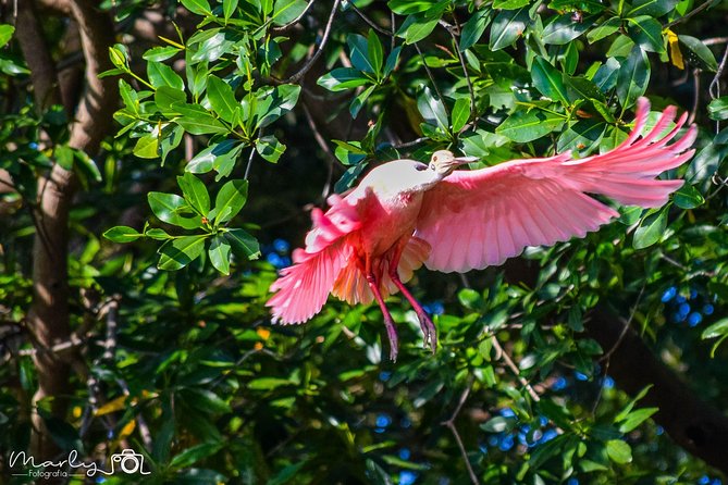 Palo Verde National Park Day Trip - The Sum Up
