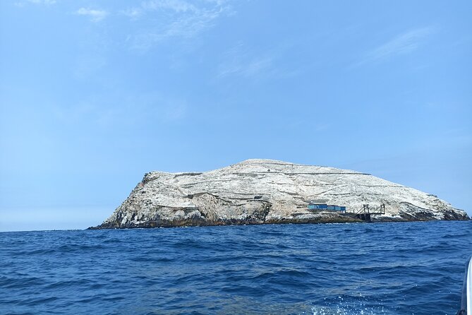 Palomino Islands Tour With Shuttle Service - The Sum Up