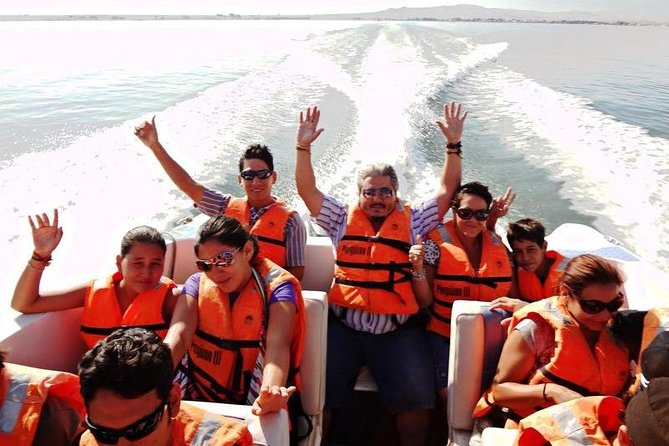 Paracas Full Day (Ballestas Islands) - Transportation