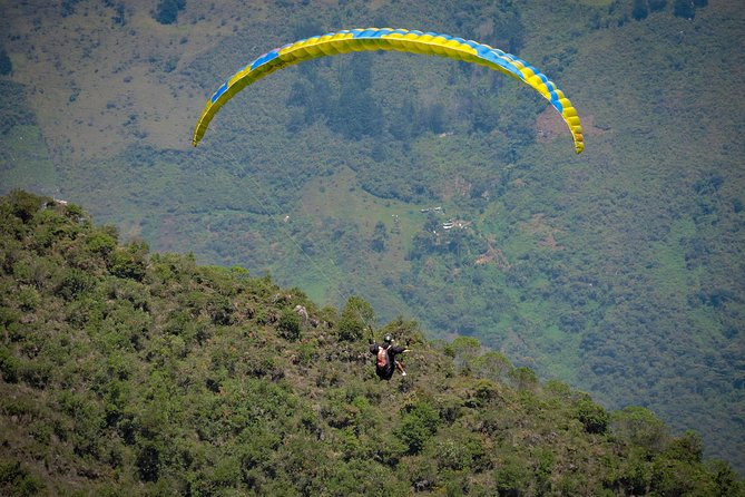 Paragliding Experience - Pricing and Booking Information