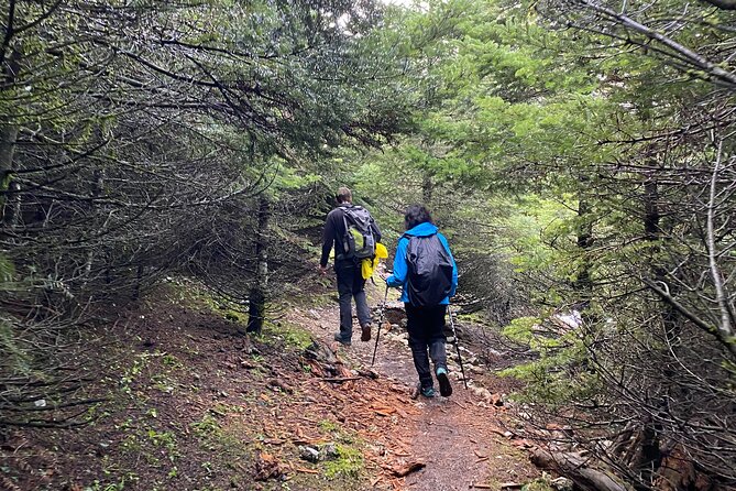 Parnitha Mountain Private Hiking Tour - Tour Details and Restrictions