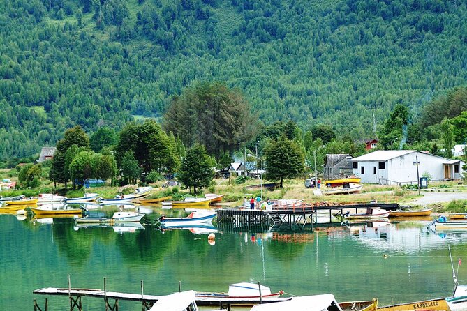 Parque Nacional Queulat in Coyhaique - Shared Service Option and Availability