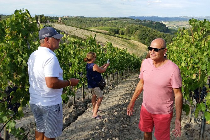 Pecorino Cheese Factory & Chianti Wine Tour in Tuscany - the Perfect Combination - Additional Info