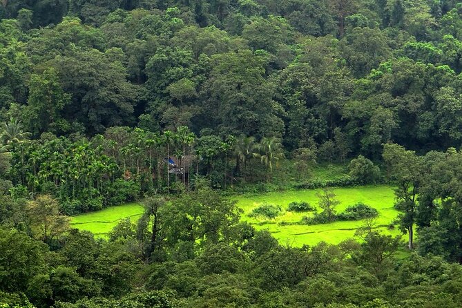 Periyar From Cochin - a Two Day Tour - Meeting and Pickup