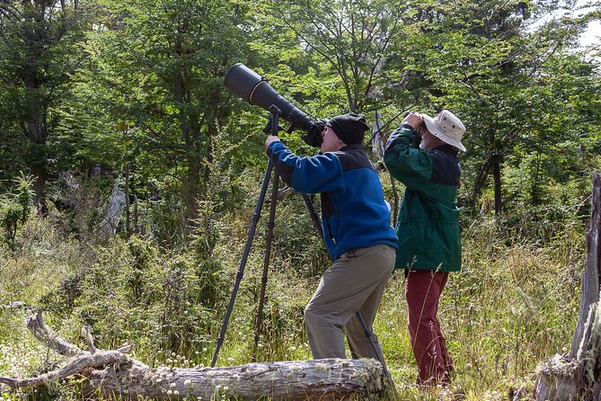 Photo Tour in Tierra Del Fuego National Park - Preparing for Your Tour