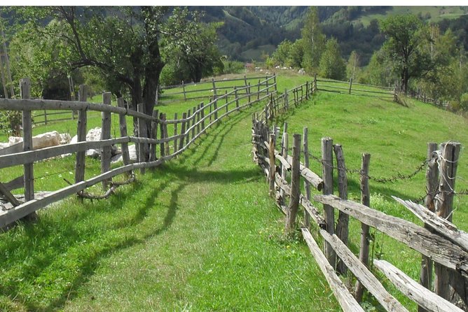PIATRA CRAIULUI NATIONAL PARK Ebike Tour(Brasov) - Tour Details