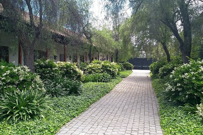 Pick up in San Antonio, Visit Carolina Winery & Transfer to Hotel - Accessibility Information