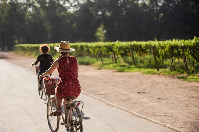 Pick up San Antonio Port Visit Causiño Winery & Transfer to Hotel - Accessibility Considerations