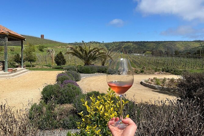 Pick up San Antonio, Visit Casa Marín Winery & Transfer to Hotel - Accessibility Considerations