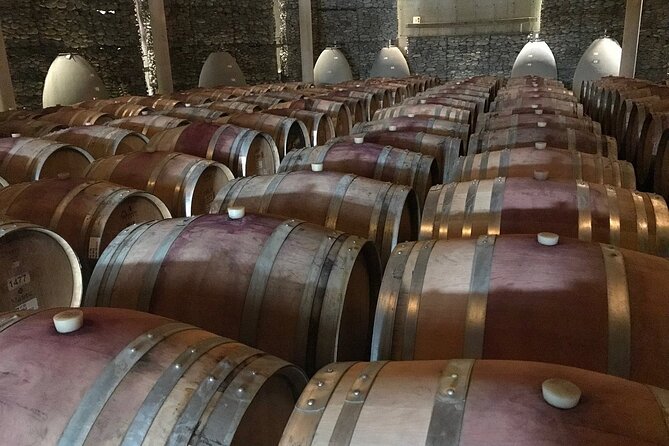 Pickup San Antonio Port, Visit Matetic Winery & Transfer to Hotel - Accessibility Information