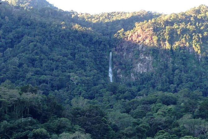 Pico Bonito Nature Reserve - Pricing and Booking Details