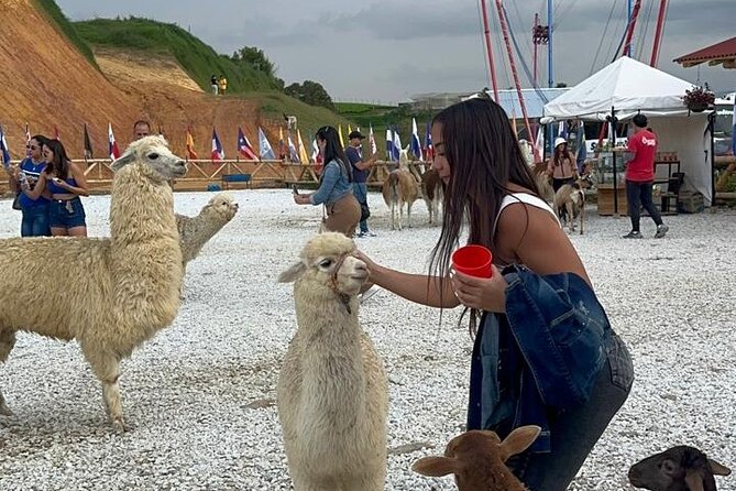 Piedra Del Peñol + El Alto Del Chocho Farm + Boat Tour - Tour Directions and Highlights