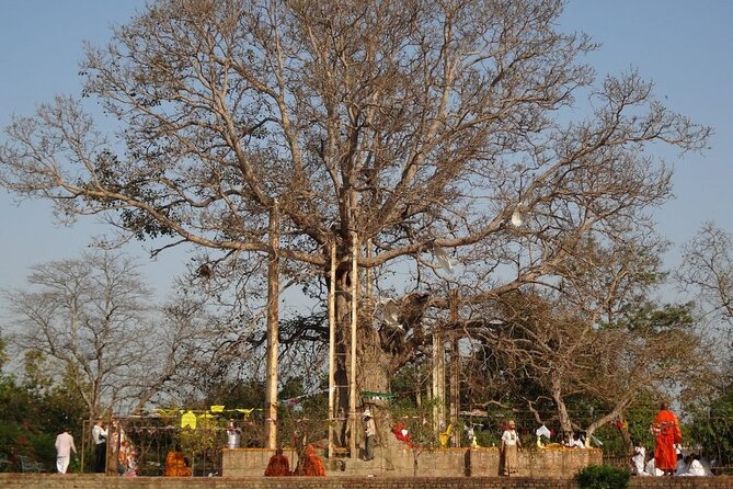 Pilgrimage to Jetavana Monastery: Lucknow to Shravasti Day Trip - What To Expect
