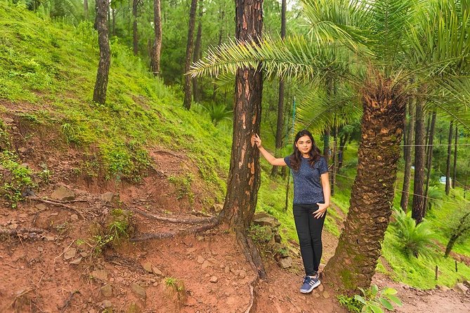 Pine Forest Camping Near Shimla - 1 Night - Frequently Asked Questions