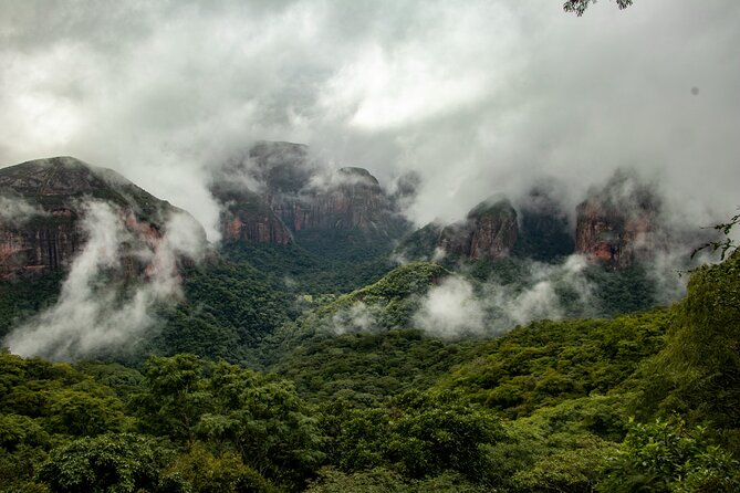 Plants and Habitats in the Elbow of the Andes - Ecological Importance of Vallegrande