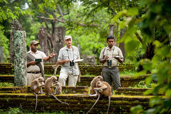 Polonnaruwa Day Tour From Kandy - Transportation Details