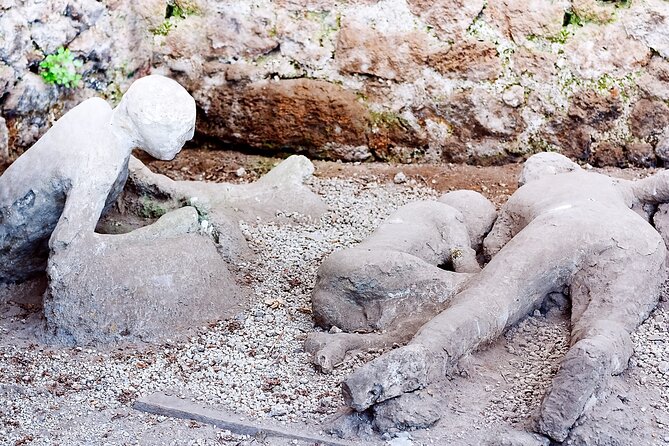 Pompeii and Herculaneum Shared Shore Excursion - Small Group Experience