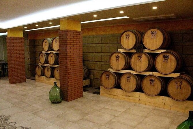 Pompeii and Vesuvius Tour With Lunch Wine Tasting From Sorrento - Directions and Cancellation Policy