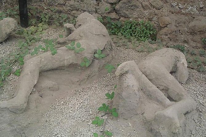 Pompeii Halfday Excursion From Naples, Sorrento or Amalfi Coast - Price and Booking