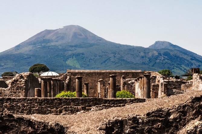 Pompeii, Herculaneum and Mount Vesuvius Private Tour From Naples - Tour Inclusions