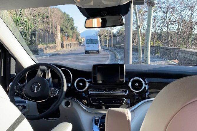 Pompeii Private Tour With Tour Guide Plus Wine Tasting Read Description - Tour Exclusions