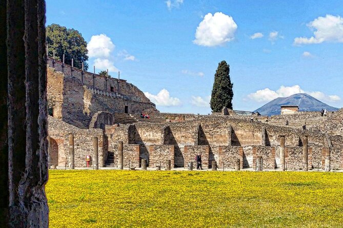 Pompeii Skip the Line Shared Group Tour - Location and Features