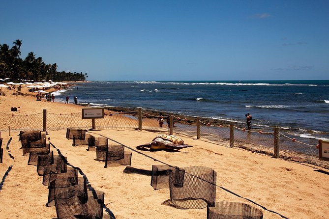 Praia Do Forte With Guarajuba Beach - Day Trip From Salvador - Frequently Asked Questions
