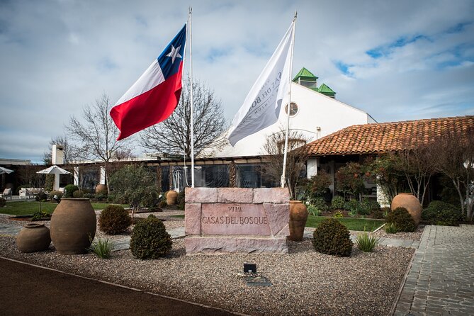 Premium Wine Tasting and Private Transport to Casas Del Bosque - Transport: Air-Conditioned Vehicle With Wifi Onboard