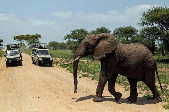 Private 10 Days Best of Kenya Wildlife Safari Holiday - Pickup and Cancellation Policy