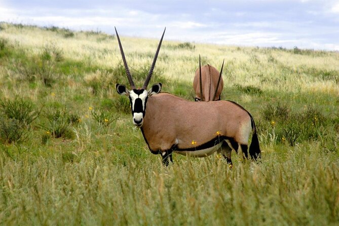 Private 10 Days Tour Visit of Tanzania With Meals Included - Tour Operator Information