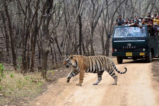 Private 2-Day Jaipur Tour With Ranthambore Safari - Operational Details