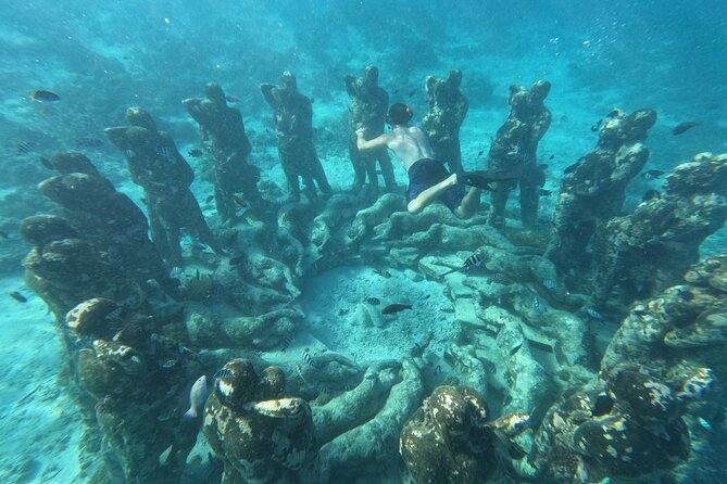 Private 2 Hours Snorkeling Experience With Baby Turtles Visit - Cancellation Policy