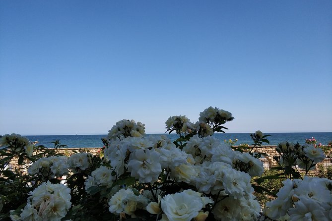 Private 3-Day Horse Riding Trip With Superb Accommodation - Services Included: Entrance Fees, Luggage Transport, Gratuities