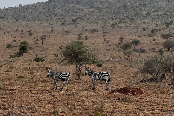 Private 3 Days Train Package Lumo Conservancy (Taita Hills) - Cancellation Policy
