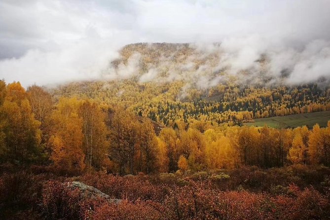 Private 5-Day Tour to Kanas Lake From Urumqi - Meal Inclusions