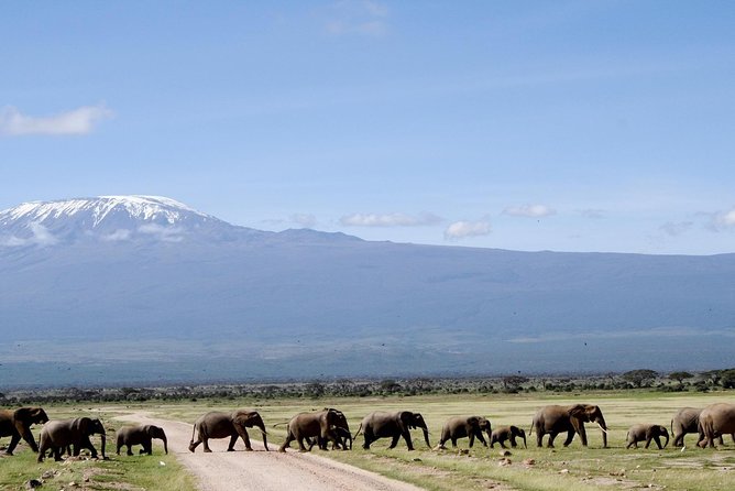 Private 6-Day Camping Tour: Amboseli, Lake Nakuru, and Masai Mara Safari - Optional Cultural Visits