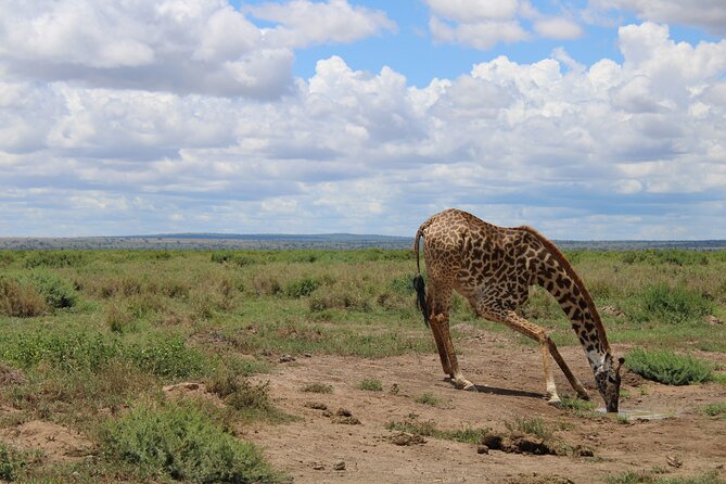 Private 6-Day Wildlife Photography Tour From Nairobi - Tour Overview