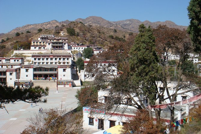 Private 6-Day Xilamuren Grassland, Mausoleum Of Genghis Khan And Baotou Tour - Transportation