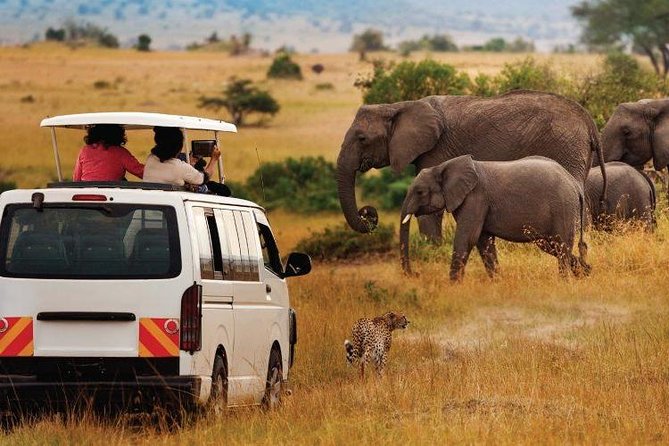 Private 6 Days Aberdares, Lake Nakuru and Masai Mara Wildlife Safari - Operator Information