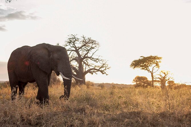 Private 6 Days Mid Range Tanzania Lodge Safari Experience - Cancellation Policy