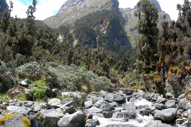 Private 7 Days Mount Kenya, Samburu, Lake Nakuru & Masai Mara Wildlife Safari - Cultural Experiences