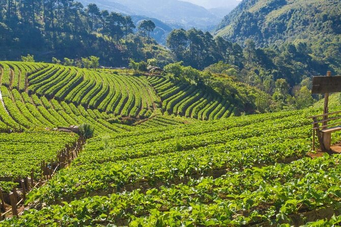 Private 8-Day Costa Rica Luxury Tour - Pickup and Start Details