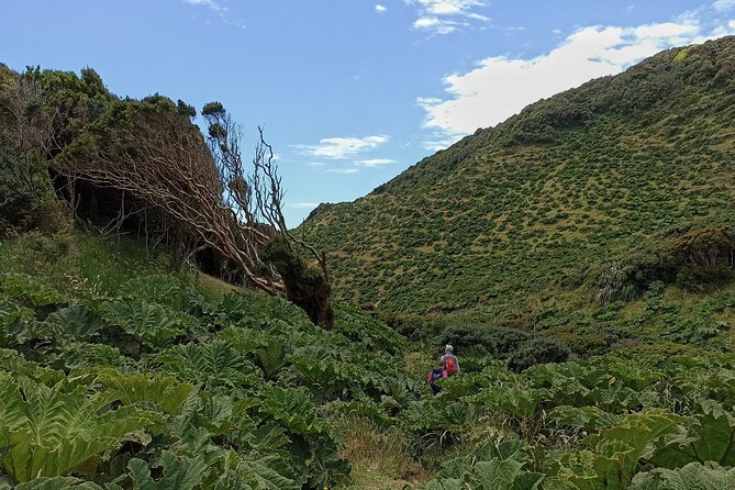 Private Activity Hiking, Time Wharf - Tricolor. - Private Tour Experience