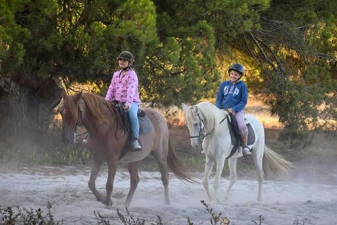 Private Alentejo Tour With Lunch and Horseback Ride Along Melides Beach - Tour Start Time