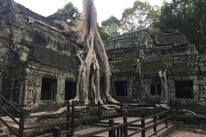 Private Angkor Wat Sunrise Bayon Ta Prohm by Bike - Transportation Options