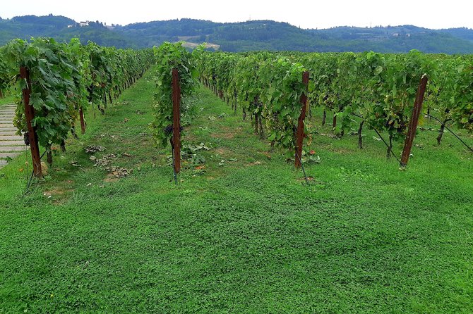 Private Art & Wine Tour in Cortona & Montepulciano, With Lunch & 2 Wine Tastings - Additional Services